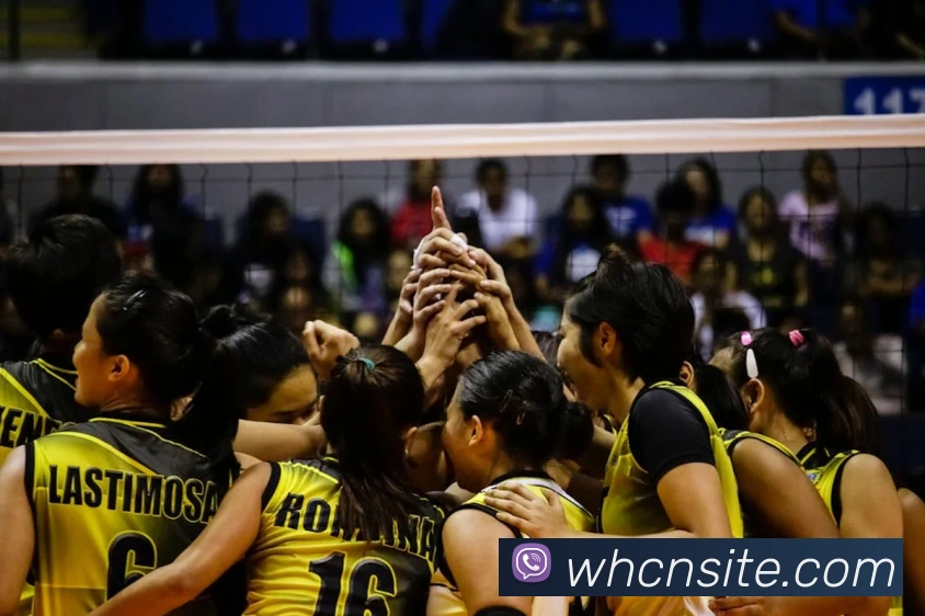 威廉希尔体育发展历程